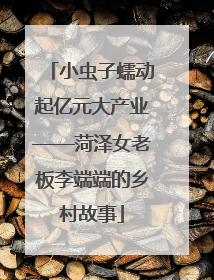 小虫子蠕动起亿元大产业——菏泽女老板李端端的乡村故事