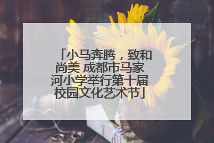 小马奔腾，致和尚美 成都市马家河小学举行第十届校园文化艺术节