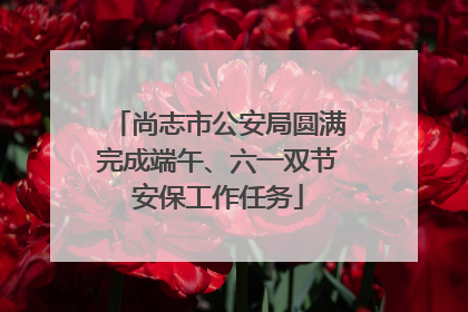 尚志市公安局圆满完成端午、六一双节安保工作任务