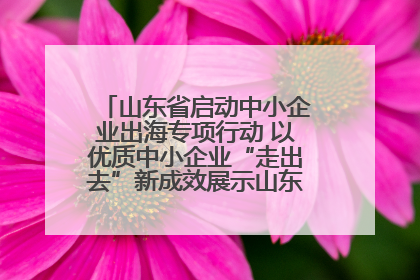 山东省启动中小企业出海专项行动 以优质中小企业“走出去”新成效展示山东产业发展新形象