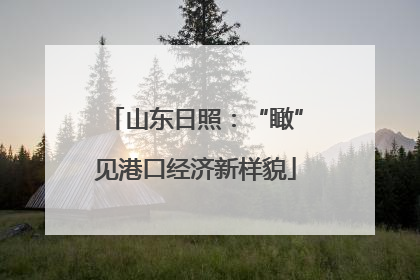 山东日照：“瞰”见港口经济新样貌