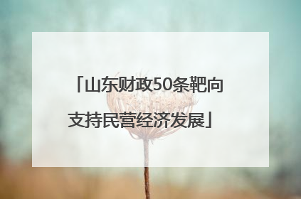 山东财政50条靶向支持民营经济发展