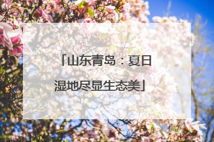 山东青岛：夏日湿地尽显生态美