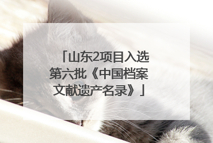 山东2项目入选第六批《中国档案文献遗产名录》