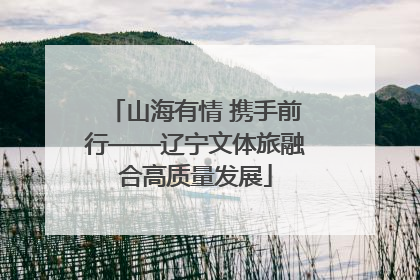 山海有情 携手前行——辽宁文体旅融合高质量发展