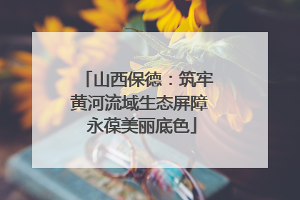 山西保德：筑牢黄河流域生态屏障 永葆美丽底色