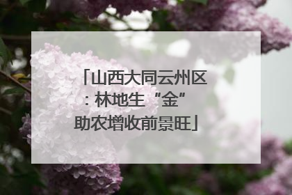 山西大同云州区：林地生“金” 助农增收前景旺