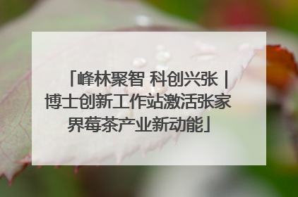 峰林聚智 科创兴张｜博士创新工作站激活张家界莓茶产业新动能