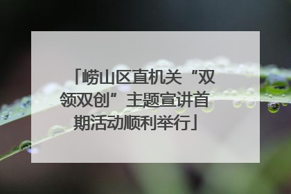崂山区直机关“双领双创”主题宣讲首期活动顺利举行