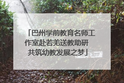 巴州学前教育名师工作室赴若羌送教助研 共筑幼教发展之梦