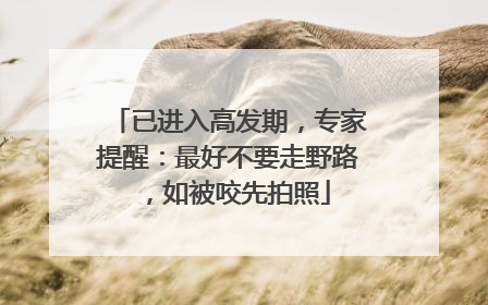 已进入高发期，专家提醒：最好不要走野路，如被咬先拍照