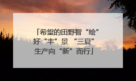 希望的田野智“绘”好“丰”景 “三夏”生产向“新”而行