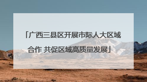 广西三县区开展市际人大区域合作 共促区域高质量发展