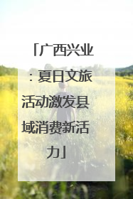 广西兴业：夏日文旅活动激发县域消费新活力