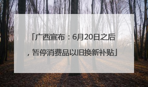 广西宣布：6月20日之后，暂停消费品以旧换新补贴
