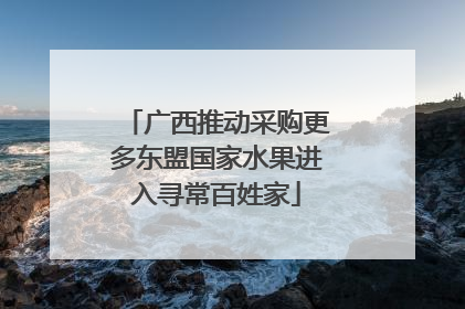 广西推动采购更多东盟国家水果进入寻常百姓家