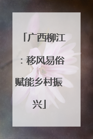 广西柳江：移风易俗赋能乡村振兴