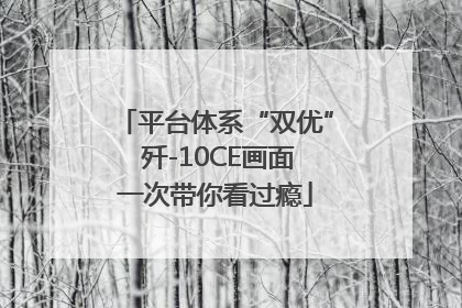 平台体系“双优” 歼-10CE画面一次带你看过瘾