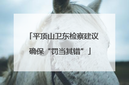 平顶山卫东检察建议确保“罚当其错”