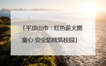 平顶山市：红色薪火燃童心 安全防线筑校园