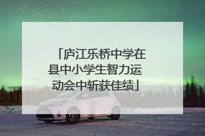 庐江乐桥中学在县中小学生智力运动会中斩获佳绩