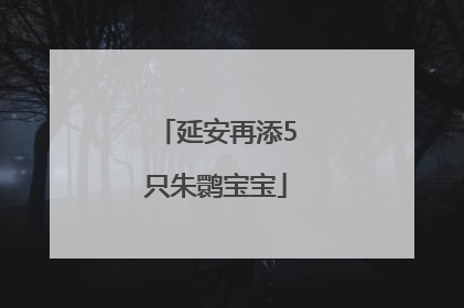 延安再添5只朱鹮宝宝