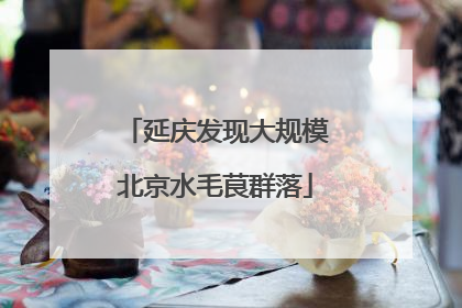 延庆发现大规模北京水毛茛群落