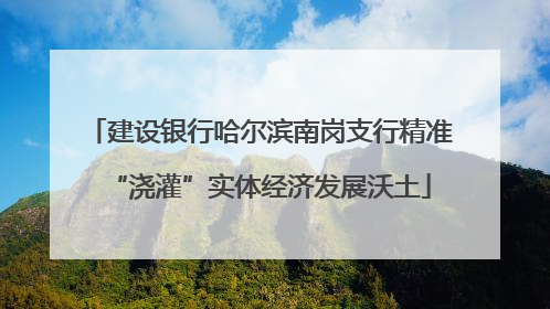 建设银行哈尔滨南岗支行精准“浇灌”实体经济发展沃土