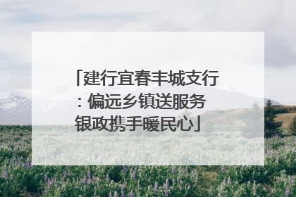 建行宜春丰城支行：偏远乡镇送服务 银政携手暖民心