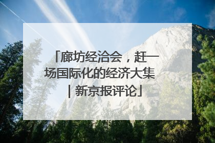 廊坊经洽会，赶一场国际化的经济大集｜新京报评论