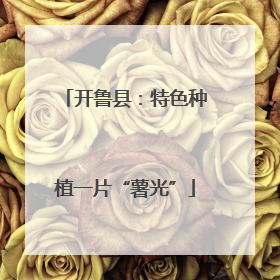 开鲁县：特色种植一片“薯光”
