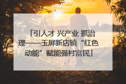 引人才 兴产业 抓治理——玉屏新店镇“红色动能”赋能强村富民