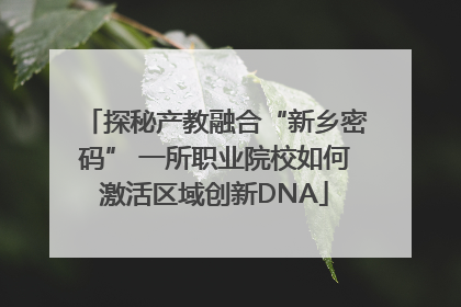 探秘产教融合“新乡密码” 一所职业院校如何激活区域创新DNA