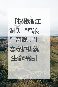 探秘浙江洞头“鸟浪”奇观：生态守护铸就生命驿站