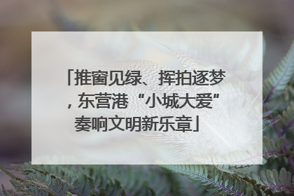 推窗见绿、挥拍逐梦，东营港“小城大爱”奏响文明新乐章
