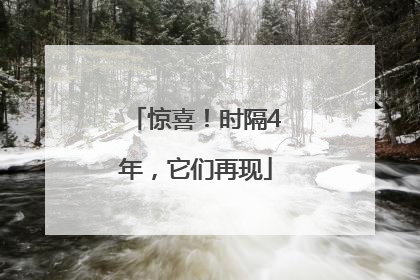 惊喜！时隔4年，它们再现