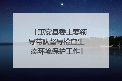 惠安县委主要领导带队督导检查生态环境保护工作