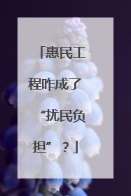 惠民工程咋成了“扰民负担”？