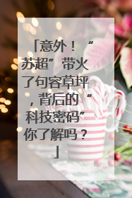 意外！“苏超”带火了句容草坪，背后的“科技密码”你了解吗？
