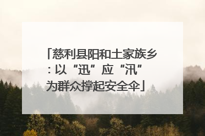 慈利县阳和土家族乡：以“迅”应“汛” 为群众撑起安全伞