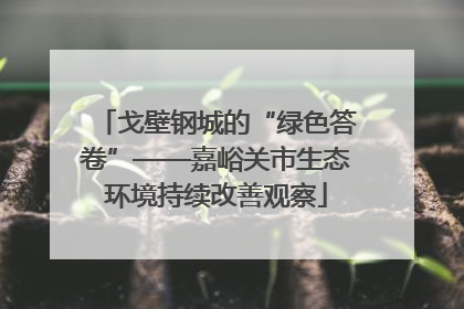 戈壁钢城的“绿色答卷”——嘉峪关市生态环境持续改善观察