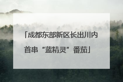 成都东部新区长出川内首串“蓝精灵”番茄