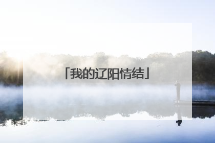 我的辽阳情结