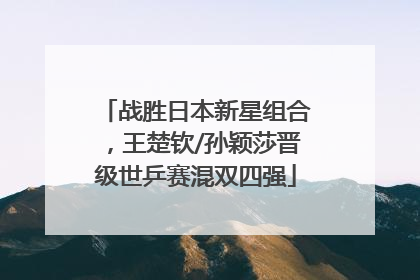 战胜日本新星组合，王楚钦/孙颖莎晋级世乒赛混双四强