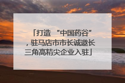 打造 “中国药谷”，驻马店市市长诚邀长三角高精尖企业入驻