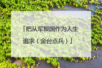 把从军报国作为人生追求（金台点兵）