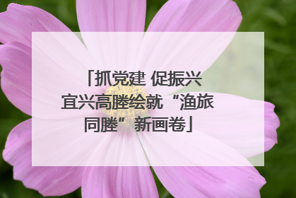抓党建 促振兴 宜兴高塍绘就“渔旅同塍”新画卷