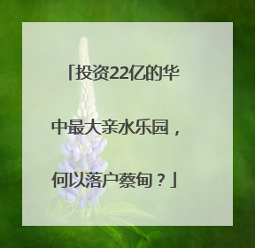 投资22亿的华中最大亲水乐园，何以落户蔡甸？