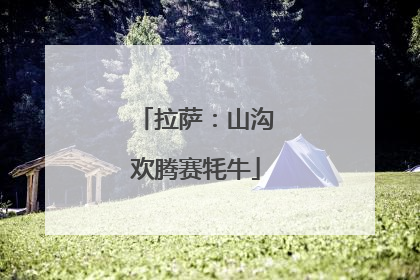 拉萨：山沟欢腾赛牦牛