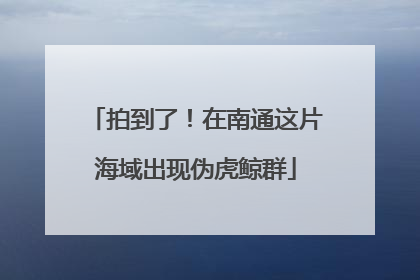拍到了！在南通这片海域出现伪虎鲸群